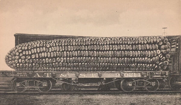 A Car Load of Texas Corn, ca. 1910. Creator: George B. Cornish
