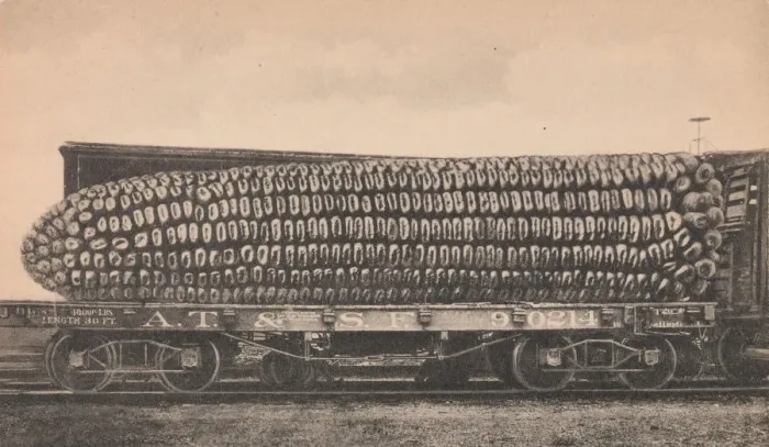 Framed Print : A Car Load of Texas Corn, ca. 1910. Creator: George B. Cornish Framed Print : A Car Load of Texas Corn, ca. 1910. Creator: George B. Cornish