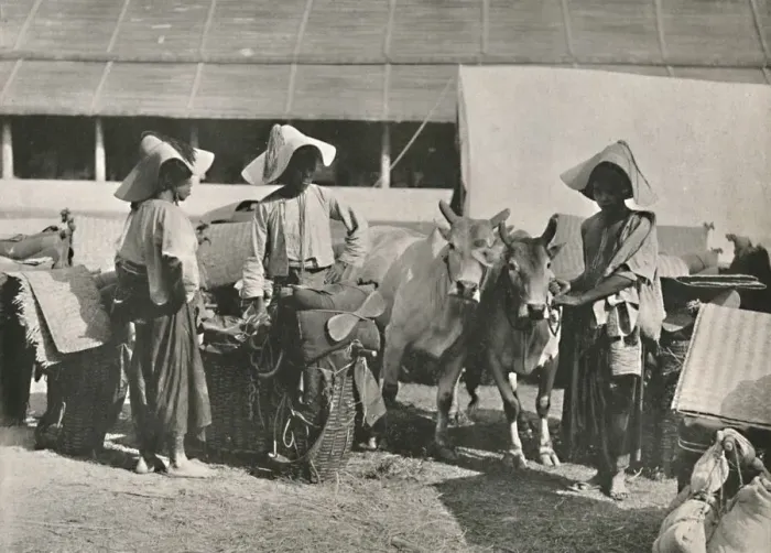 Framed Print : Caravan Scene with Shans at Bhamo, 1900. Creator: Unknown