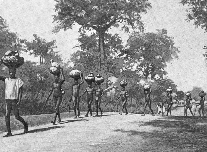 Framed Print : Caravane de porteurs Senoufos; L'Ouest Africain, 1914. Creator: Unknown Framed Print : Caravane de porteurs Senoufos; L'Ouest Africain, 1914. Creator: Unknown