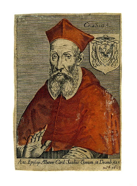 A cardinal, 16th century