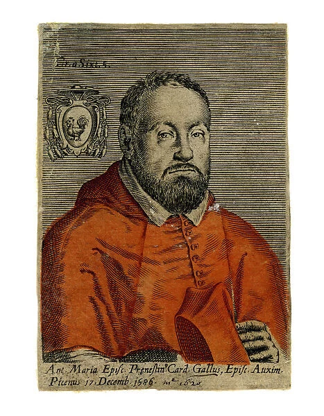 A cardinal, 16th century