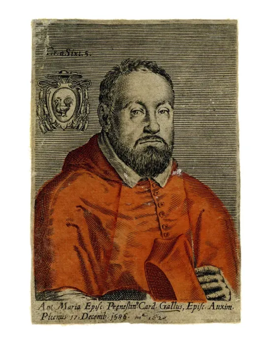 Framed Print : A cardinal, 16th century Framed Print : A cardinal, 16th century