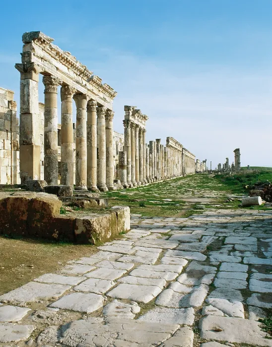 Framed Print : The Cardo Maximus, Apamea city, Syria, Roman, 2nd century, (2005). Creator: LTL Framed Print : The Cardo Maximus, Apamea city, Syria, Roman, 2nd century, (2005). Creator: LTL