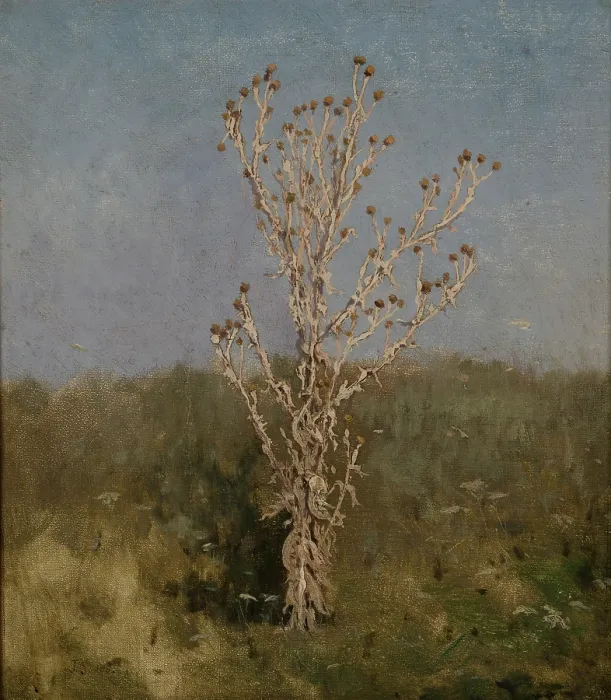 Framed Print : Carduus (plumeless thistles), 1885. Creator: Jan Stanislawski Framed Print : Carduus (plumeless thistles), 1885. Creator: Jan Stanislawski
