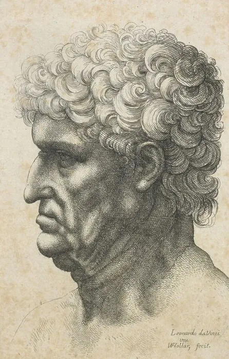 Framed Print : Caricatures and deformities after Leonardo. The old man with curly hair, c.1645. Creator: Wenceslaus Hollar