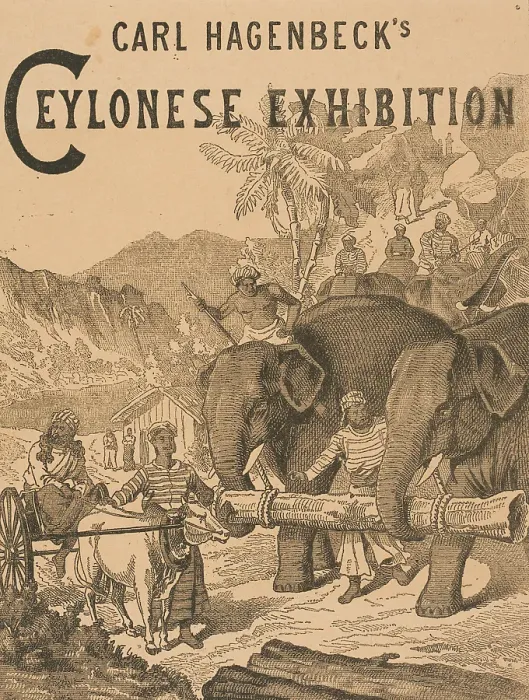 Framed Print : Carl Hagenbeck's Ceylonese Exhibition, 1886. Creator: Unknown. Carl Hagenbeck's Ceylonese Exhibition, 1886. Creator: Unknown Framed Print : Carl Hagenbeck's Ceylonese Exhibition, 1886. Creator: Unknown. Carl Hagenbeck's Ceylonese Exhibition, 1886. Creator: Unknown