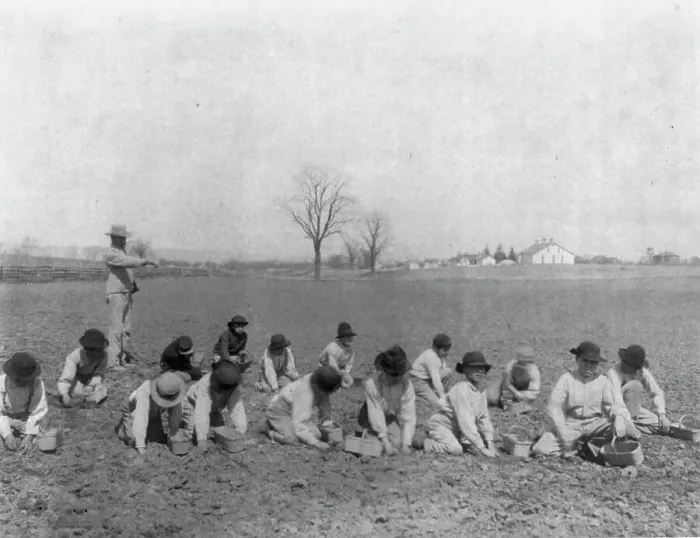 Framed Print : Carlisle Indian School, Carlisle, Pa. Boys digging for potatoes(?) in field, 1901. Creator: Frances Benjamin Johnston Framed Print : Carlisle Indian School, Carlisle, Pa. Boys digging for potatoes(?) in field, 1901. Creator: Frances Benjamin Johnston