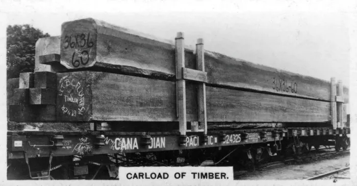 Framed Print : Carload of Douglas fir, Canada, c1920s Framed Print : Carload of Douglas fir, Canada, c1920s