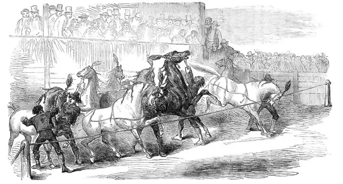 Framed Print : Carnival Races at Rome, 1856. Creator: Unknown Framed Print : Carnival Races at Rome, 1856. Creator: Unknown