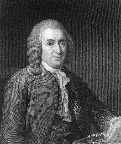 Carolus Linnaeus, 18th century Swedish naturalist, (1836). Artist: CE Wagstaff