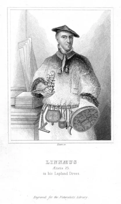 Framed Print : Carolus Linnaeus, Swedish naturalist, 1732 (early 19th century). Artist: William Home Lizars Framed Print : Carolus Linnaeus, Swedish naturalist, 1732 (early 19th century). Artist: William Home Lizars