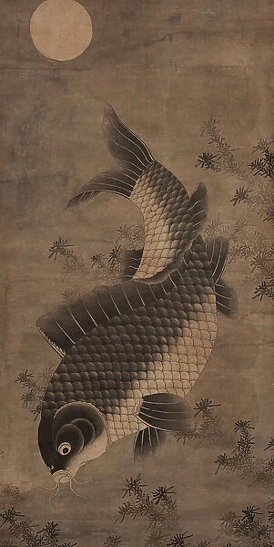 Carp, between 1644 and 1911. Creator: Unknown