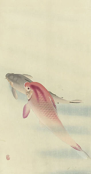 Two carp. Creator: Ohara, Koson (1877-1945)