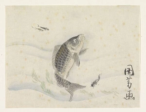 Carp and three smaller fish, 1808-1861. Creator: Utagawa Kuniyoshi