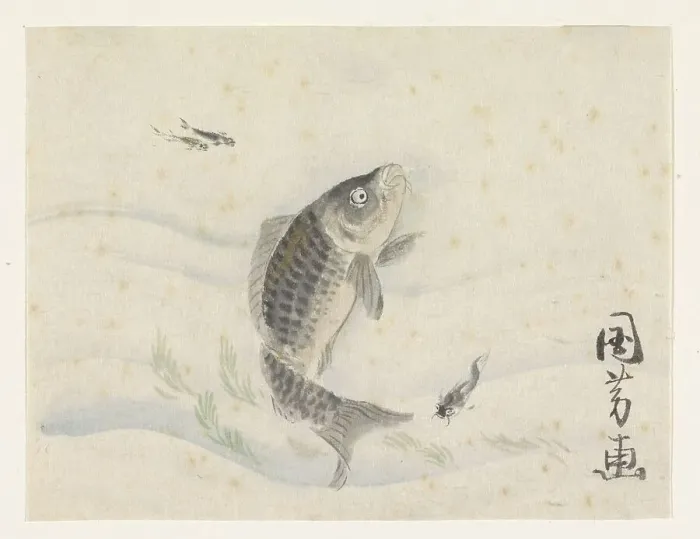 Framed Print : Carp and three smaller fish, 1808-1861. Creator: Utagawa Kuniyoshi Framed Print : Carp and three smaller fish, 1808-1861. Creator: Utagawa Kuniyoshi