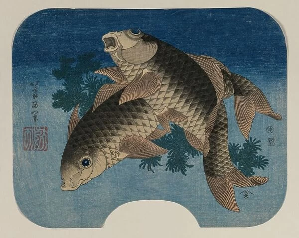Carp Swimming by Water Weeds, 1831. Creator: Katsushika Hokusai (Japanese, 1760-1849)