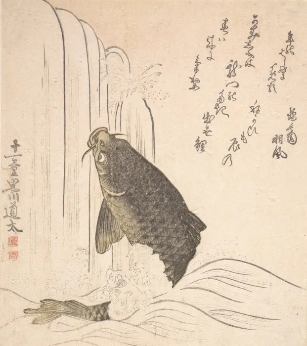 Framed Print : Carp Trying to Swim up a Waterfall, probably 1820. Creator: Kurokawa Michita Framed Print : Carp Trying to Swim up a Waterfall, probably 1820. Creator: Kurokawa Michita