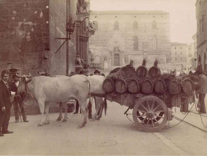 Framed Print : Carro con buoi, Perugia, 1880s. Creator: James Anderson Framed Print : Carro con buoi, Perugia, 1880s. Creator: James Anderson