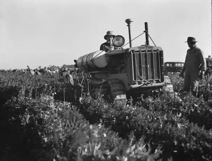 Framed Print : Carrot digger, Imperial Valley, California, 1939. Creator: Dorothea Lange Framed Print : Carrot digger, Imperial Valley, California, 1939. Creator: Dorothea Lange
