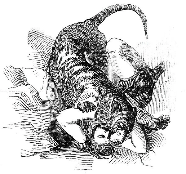 Carters Tiger Feat, 1844. Creator: Unknown