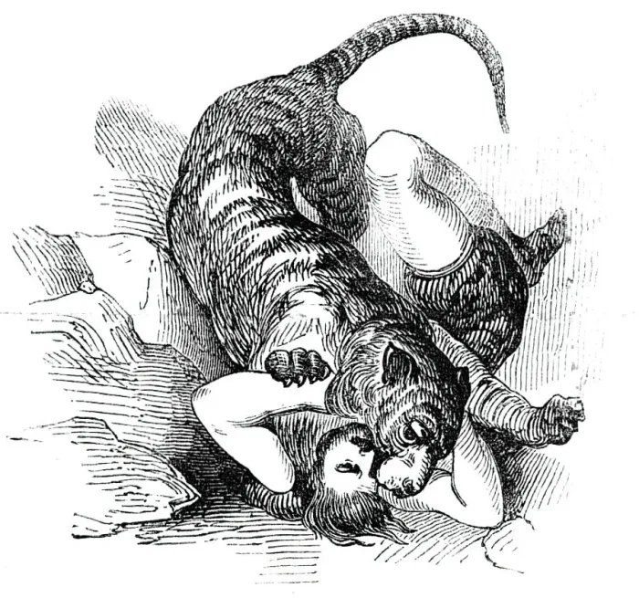 Framed Print : Carters Tiger Feat, 1844. Creator: Unknown Framed Print : Carters Tiger Feat, 1844. Creator: Unknown