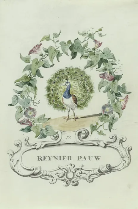 Framed Print : Cartoon of Reynier Pauw, 1710-1720. Creator: Anon Framed Print : Cartoon of Reynier Pauw, 1710-1720. Creator: Anon