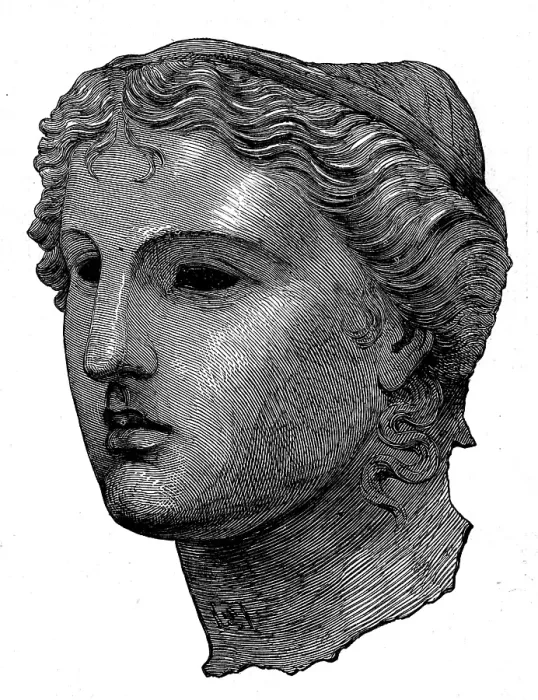 Framed Print : The Castellani Collection in the British Museum - bronze head of Venus, 1873. Creator: Unknown Framed Print : The Castellani Collection in the British Museum - bronze head of Venus, 1873. Creator: Unknown