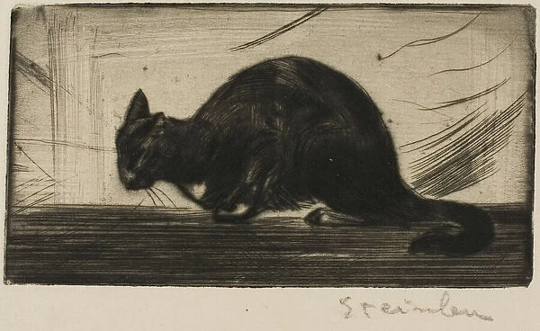 Cat Arching Its Back, 1898. Creator: Theophile Alexandre Steinlen