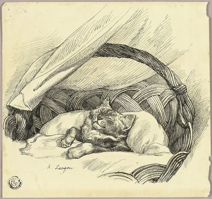 Framed Print : Cat Asleep in Basket, n.d. Creator: Auguste-Andre Lancon Framed Print : Cat Asleep in Basket, n.d. Creator: Auguste-Andre Lancon