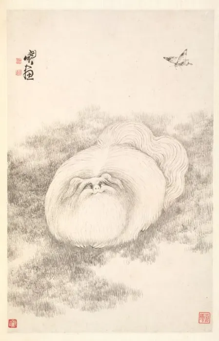 Framed Print : Cat and Butterfly, 1788. Creator: Min Zhen (Chinese, 1730-after 1788) Framed Print : Cat and Butterfly, 1788. Creator: Min Zhen (Chinese, 1730-after 1788)