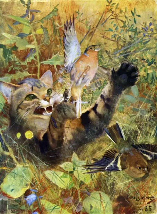 Framed Print : A Cat and a Chaffinch, 1885 (1945). Artist: Bruno Liljefors Framed Print : A Cat and a Chaffinch, 1885 (1945). Artist: Bruno Liljefors