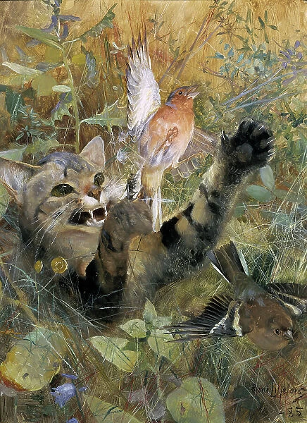 A Cat and a Chaffinch. Five animal studies in one frame, 1885. Creator: Bruno Liljefors