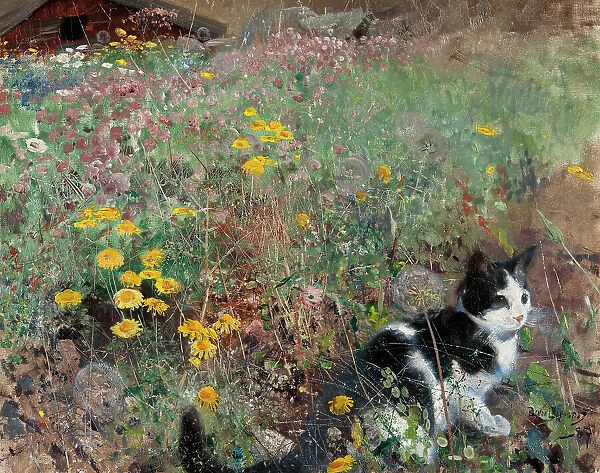 Cat on a flowery meadow, 1887. Creator: Bruno Liljefors