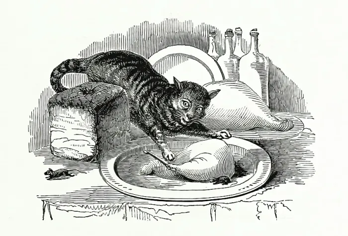 Framed Print : Cat stealing meat from a plate, 1847. Creator: Unknown Framed Print : Cat stealing meat from a plate, 1847. Creator: Unknown