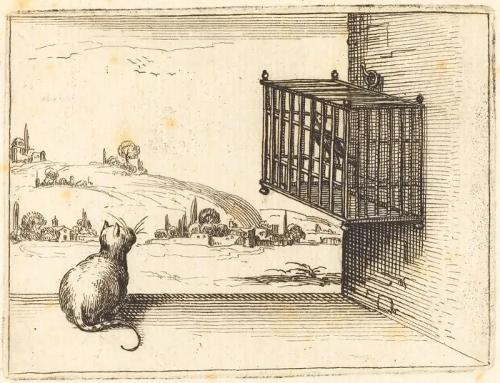 Framed Print : Cat Watching Caged Bird, 1628. Creator: Jacques Callot Framed Print : Cat Watching Caged Bird, 1628. Creator: Jacques Callot