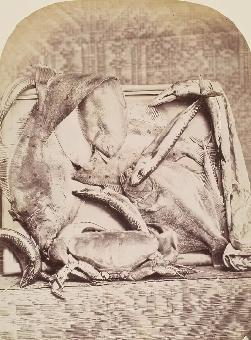 Framed Print : The Catch, Perthshire, from an album compiled by Sir John Everett Millais. Creator: Unknown Framed Print : The Catch, Perthshire, from an album compiled by Sir John Everett Millais. Creator: Unknown