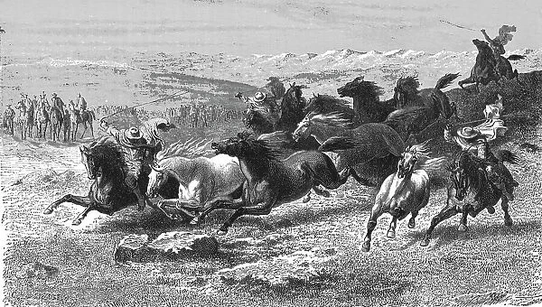 Catching Wild Horses with the Lasso; Frontier Adventures in the Argentine Republic, 1875. Creator: Unknown