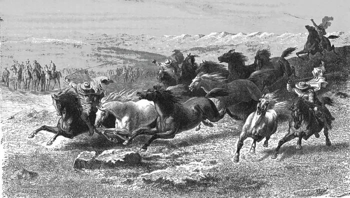 Framed Print : Catching Wild Horses with the Lasso; Frontier Adventures in the Argentine Republic, 1875. Creator: Unknown Framed Print : Catching Wild Horses with the Lasso; Frontier Adventures in the Argentine Republic, 1875. Creator: Unknown