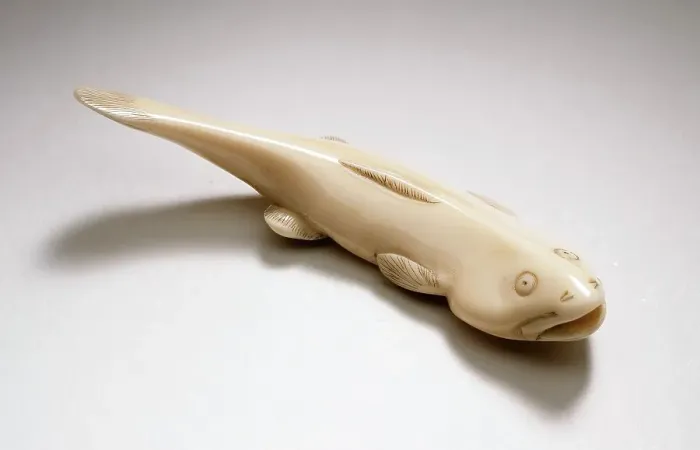 Framed Print : Catfish, 19th century. Creator: Unknown Framed Print : Catfish, 19th century. Creator: Unknown