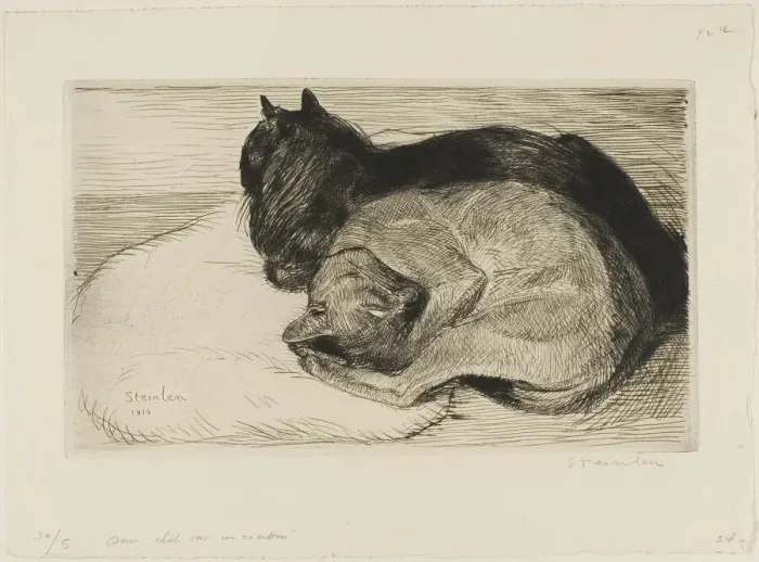 Framed Print : Two Cats on a Cushion, 1914. Creator: Theophile Alexandre Steinlen Framed Print : Two Cats on a Cushion, 1914. Creator: Theophile Alexandre Steinlen