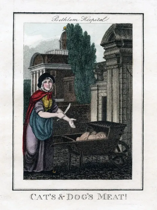 Framed Print : Cats and Dogs Meat!, Bethlem Hospital, London, 1805 Framed Print : Cats and Dogs Meat!, Bethlem Hospital, London, 1805