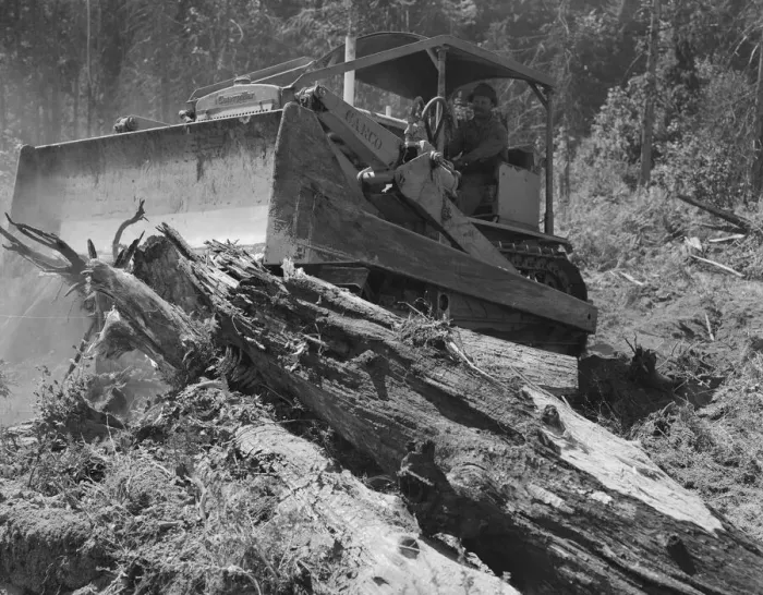 Framed Print : Catskinner and bulldozer, near Vader, Lewis County, Western Washington, 1939. Creator: Dorothea Lange Framed Print : Catskinner and bulldozer, near Vader, Lewis County, Western Washington, 1939. Creator: Dorothea Lange