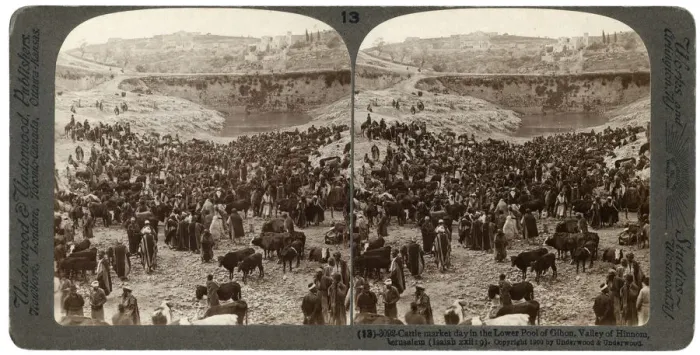 Framed Print : Cattle market day, in the lower pool of Gihon, Valley of Hinnom, Jerusalem, Palestine, 1900. Artist: Underwood & Underwood Framed Print : Cattle market day, in the lower pool of Gihon, Valley of Hinnom, Jerusalem, Palestine, 1900. Artist: Underwood & Underwood