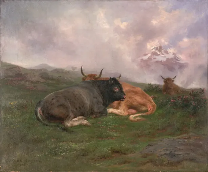 Framed Print : Cattle at Rest on a Hillside in the Alps, 1885. Creator: Rosa Bonheur Framed Print : Cattle at Rest on a Hillside in the Alps, 1885. Creator: Rosa Bonheur