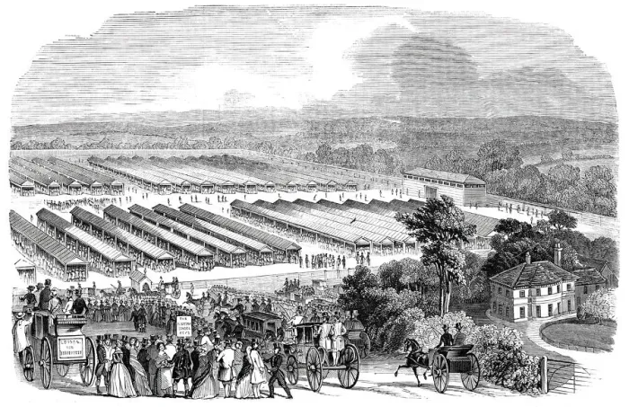 Framed Print : The Cattle Show, Portswood, 1844. Creator: Unknown Framed Print : The Cattle Show, Portswood, 1844. Creator: Unknown