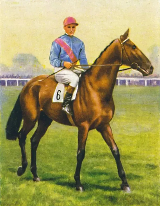 Framed Print : Cave Man, Jockey: C. Richards, 1939 Framed Print : Cave Man, Jockey: C. Richards, 1939