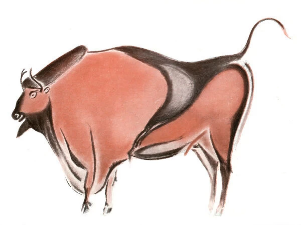 Cave painting of a bison from the Altamira cave, Spain, 1933-1934