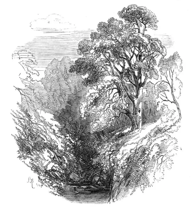 Framed Print : Cawdor Woods, 1868. Creator:s Read Framed Print : Cawdor Woods, 1868. Creator:s Read