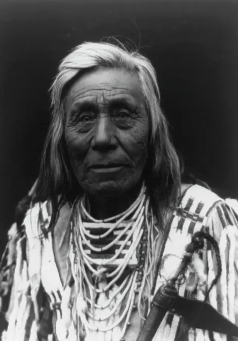 Framed Print : Cayuse type, c1910. Creator: Edward Sheriff Curtis Framed Print : Cayuse type, c1910. Creator: Edward Sheriff Curtis